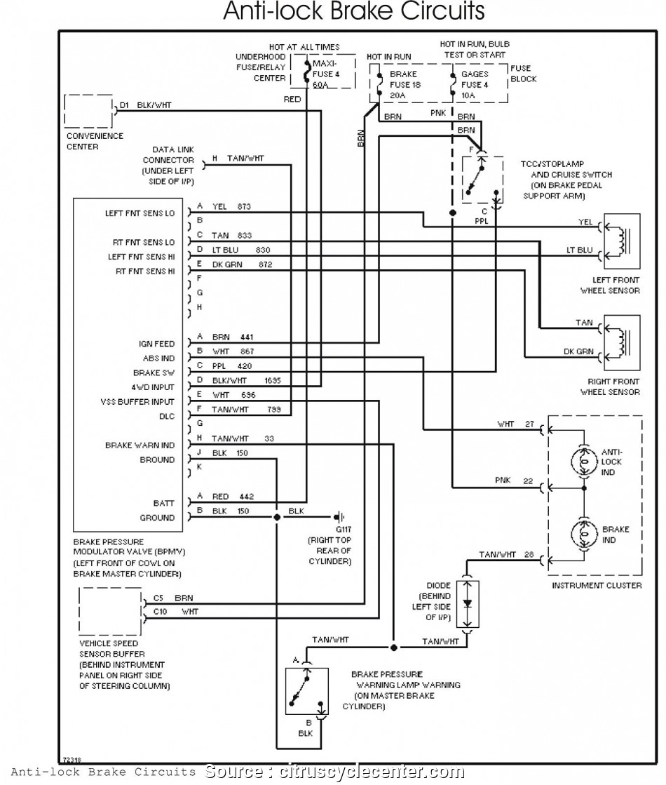 Snowbear Utility Trailer Wiring Diagram | Wiring Diagram