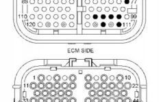 05 C13 Cat Ecm Wiring Diagram