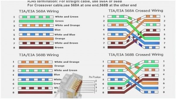 Wiring Diagram For Cat 3